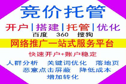 百度推广案例：精准广告投放策略解析